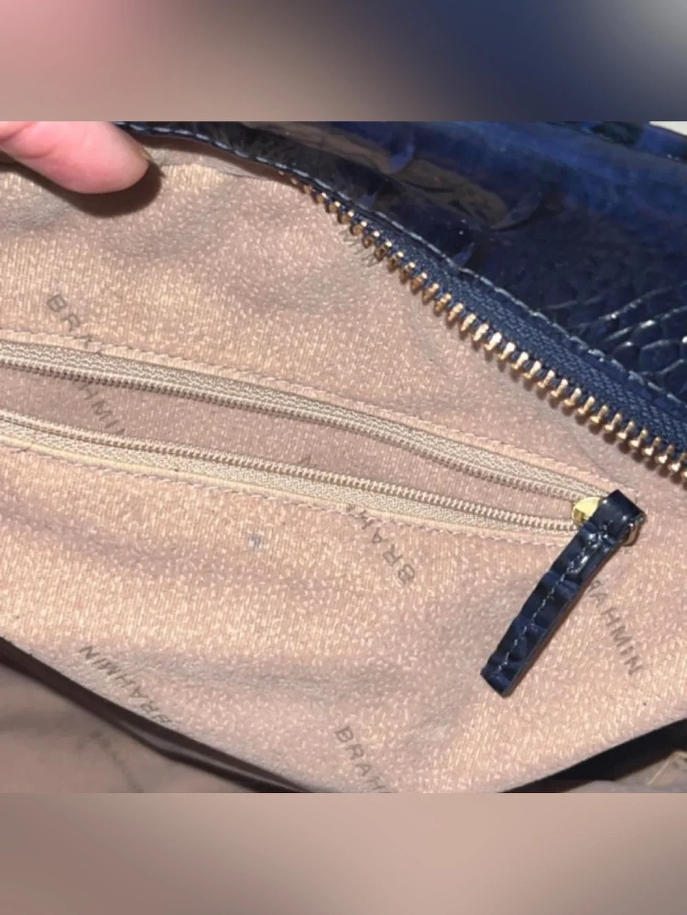 Brahmin backpack